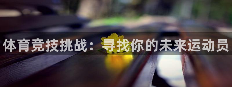 体育竞技挑战：寻找你的未来运动员