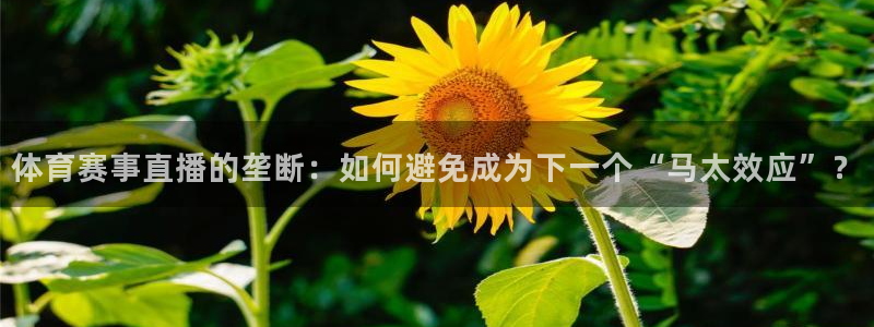 体育赛事直播的垄断：如何避免成为下一个“马太效应”？