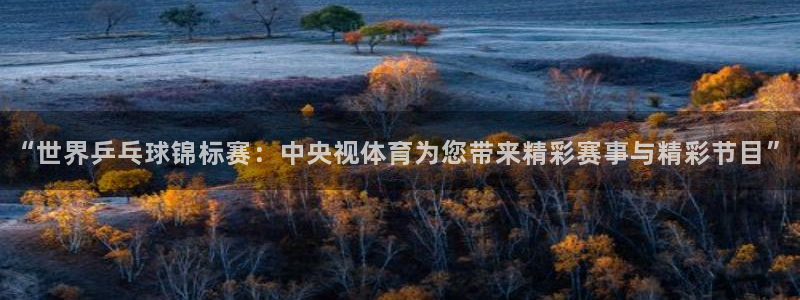 “世界乒乓球锦标赛：中央视体育为您带来精彩赛事与精彩节目”