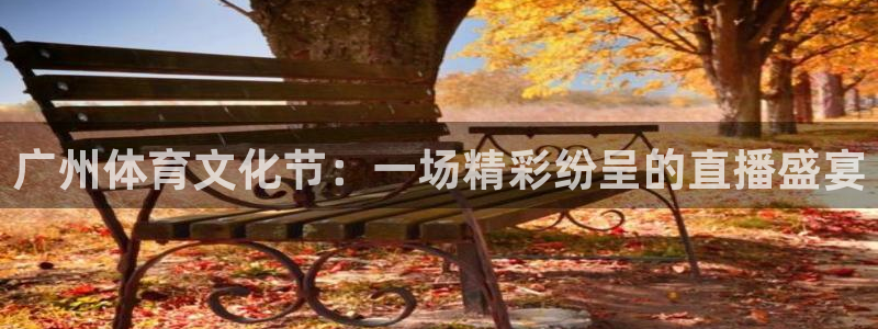广州体育文化节：一场精彩纷呈的直播盛宴
