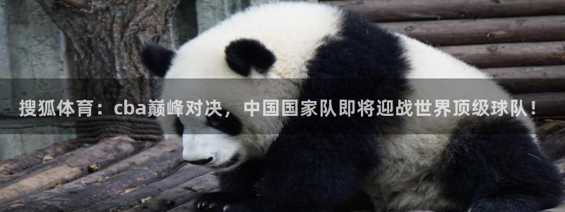 搜狐体育：cba巅峰对决，中国国家队即将迎战世界顶级球队！