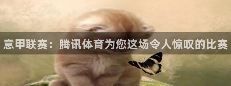 意甲联赛：腾讯体育为您这场令人惊叹的比赛