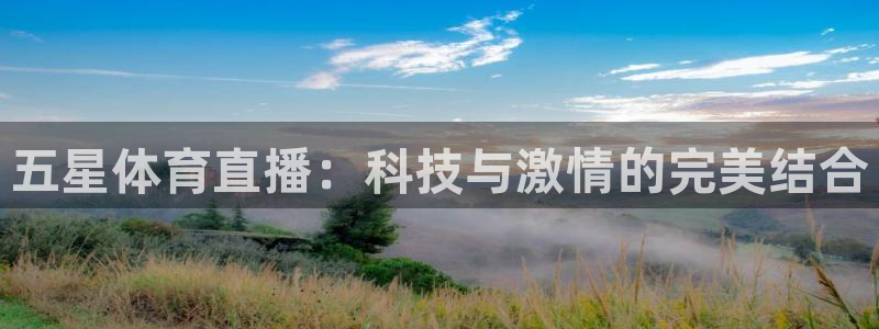 五星体育直播：科技与激情的完美结合