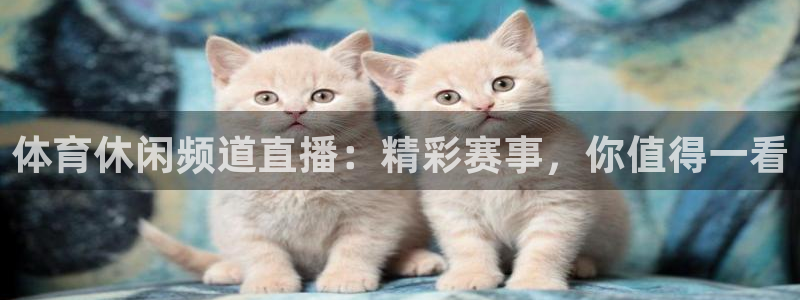 体育休闲频道直播：精彩赛事，你值得一看