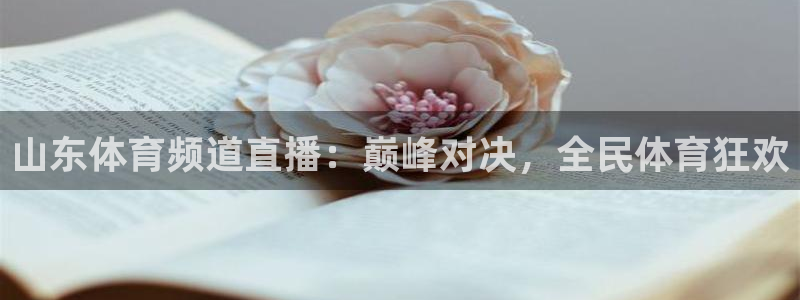 山东体育频道直播：巅峰对决，全民体育狂欢
