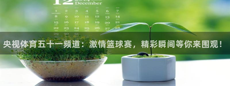 央视体育五十一频道：激情篮球赛，精彩瞬间等你来围观！