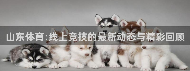 山东体育:线上竞技的最新动态与精彩回顾