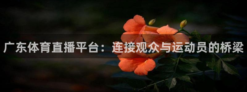 广东体育直播平台：连接观众与运动员的桥梁