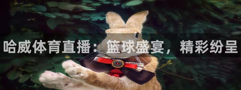 哈威体育直播：篮球盛宴，精彩纷呈